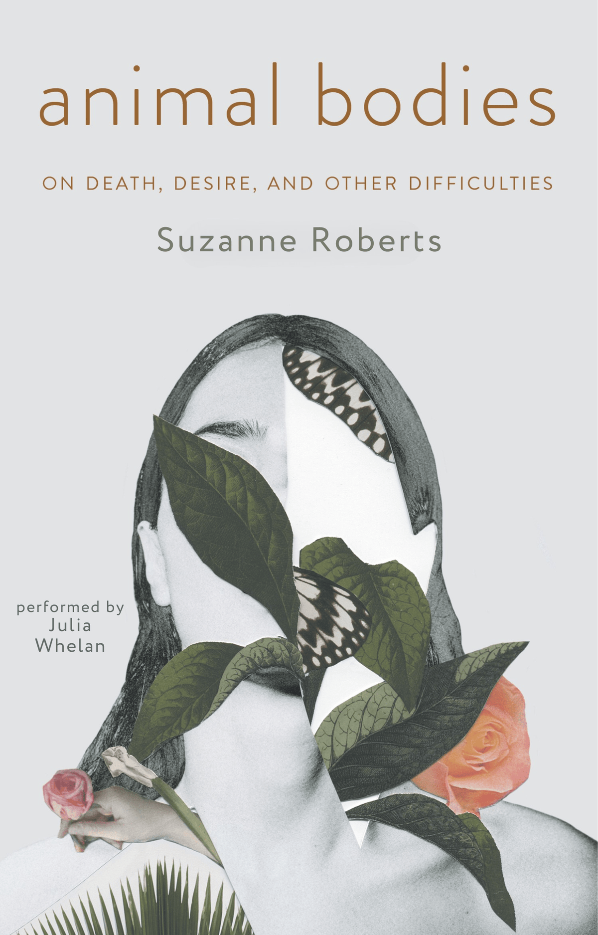 Animal Bodies: On Death, Desire, and Other Difficulties